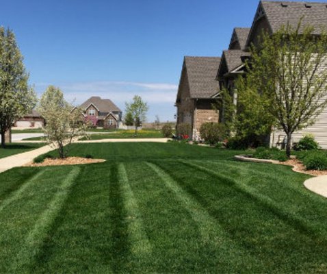 Every mowing service includes mowing, edging, trimming, and blowing each visit.