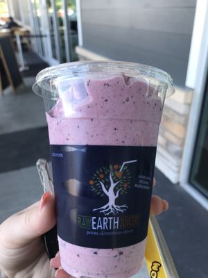 Raw Smoothie Strawberry /blueberry