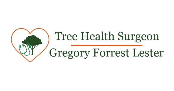 Tree Health Surgeon