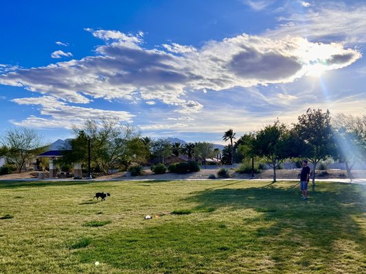 Huge soccer field