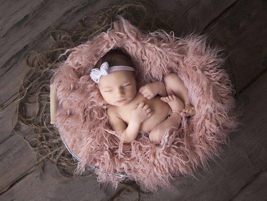 Newborn photographer