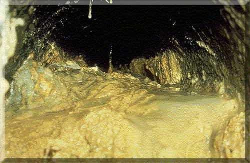 Fats, oils, and grease cool in sewer lines, causing it to build-up over time and restrict flow.