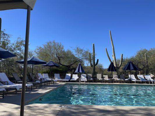 Pool area in back.