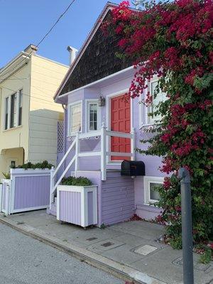 Built planters to match house. Re-built steps up to house that had dry-rot. Painted house.