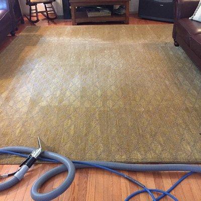 Area rug cleaning