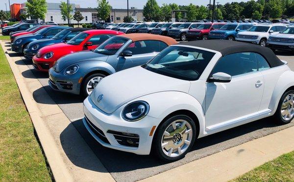 VW Beetle at Owens Murphy Volkswagen