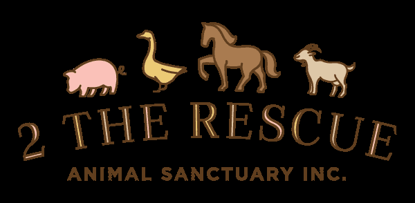 2 The Rescue Animal Sanctuary, Inc.