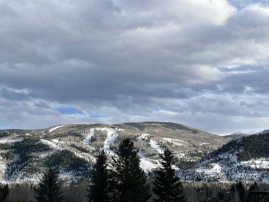 Views from dining room