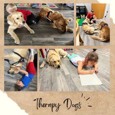 Our therapy dogs, Pumpkin & Pumpkin assist with sessions, helping provide sensory breaks and a bit of fun.