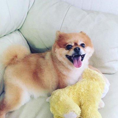 Look how happy this little guy is with his fresh haircut.