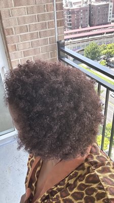 I cut my dread locs off- now what? Before photos