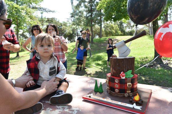 My sons 1st birthday! Thank you for all your help delivering him last year!