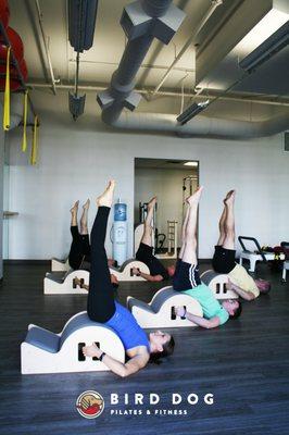 Bird Dog Pilates & Fitness