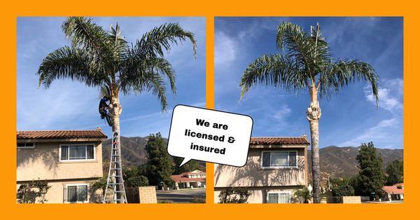 Garcia's 4 Seasons Tree Service