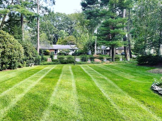 Small Property mowing