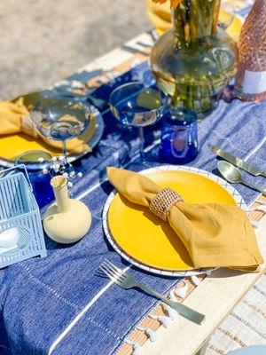 blue & Yellow picnic