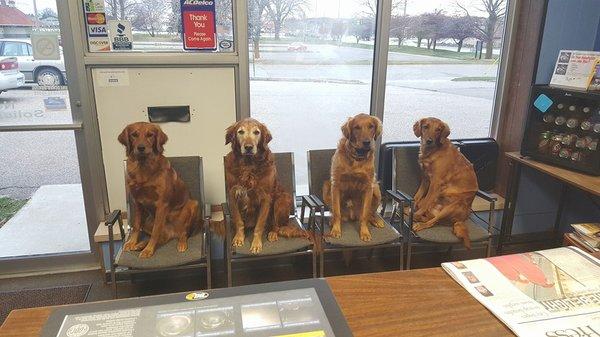 Best Customer Greaters. Family waiting room.