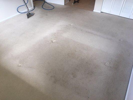 Before photo shows dirt and pet stains.