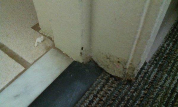 Ewww moldy wall by door. Toilet paper on floor. 2 words. Health hazard. This is not right. I have asthma.