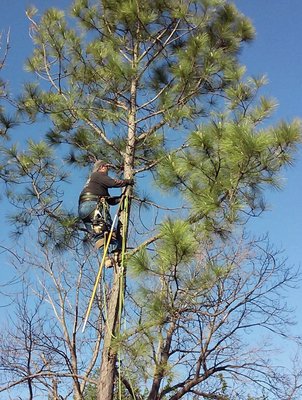 Bowen's Tree Service