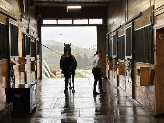 A young rider getting her pony ready for a lesson.