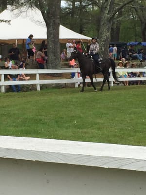 Hollywood and me at my first horse show!