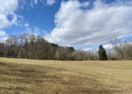 Part of the field inside the fence