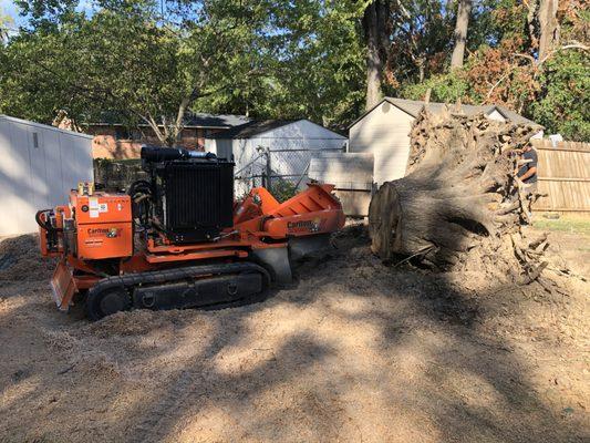 Capital City Stump Grinding