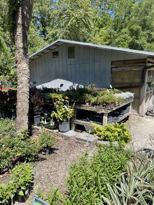 Garden Gate Nursery