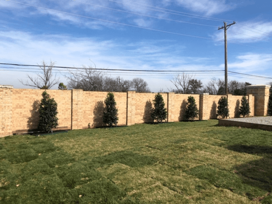 Back Yard Sod Installation Tree Planting