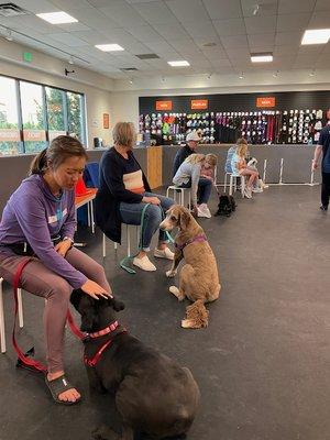 Our large, climate-controlled gym gives you and your dog plenty of room to learn, work, and play.