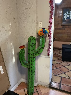 Cactus decor