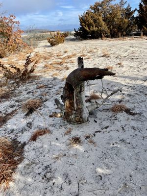 Foster Memorial Beach