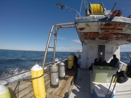 2014 Seal Dive at Isles Of Shoals.