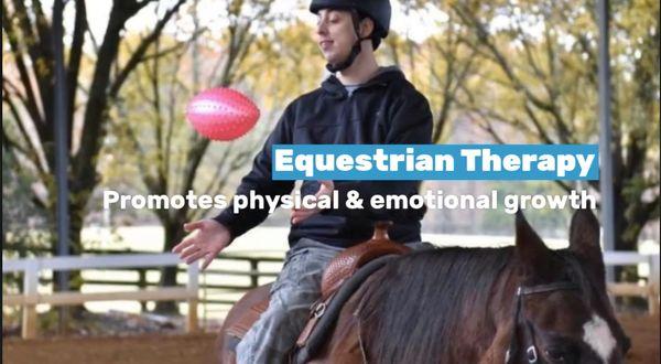 Located in Milton, Iron Horse Therapy provides equestrian Therapy promotes physical and emotional growth