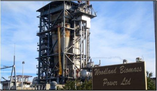 Woodland Biomass Power