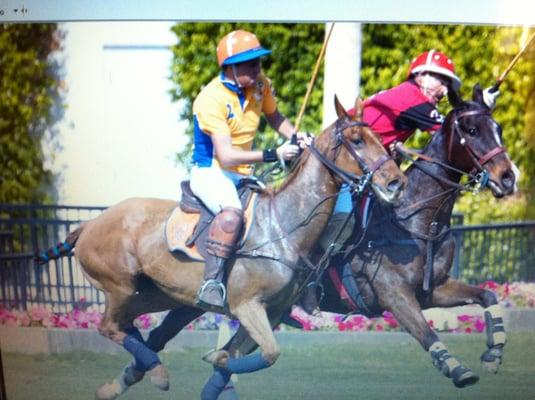 Playing Polo for the Casa Lago polo team