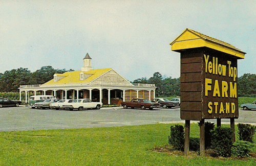 Yellow Top Farms