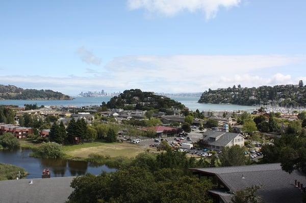 View from Red Hill Tiburon CA