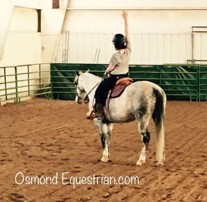 Osmond Equestrian