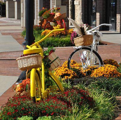 Fall Seasonal Color Display