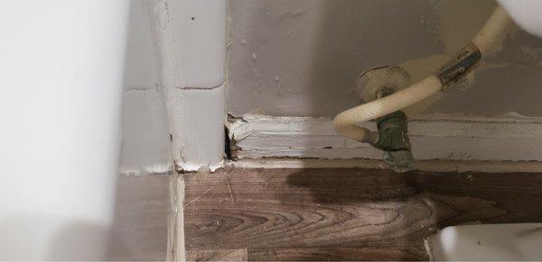 Rotting baseboards.