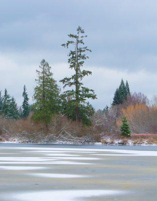 Larsen Lake with a thin layer of ice!