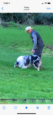 Sky learning to calm down & concentrate!