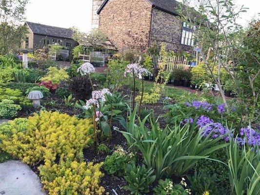 The retail nursery in early Spring #lindenhillgardens #jerryfritzgardendesign