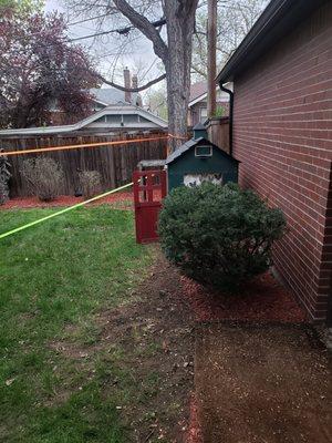 New mulch trees and bushes trimmed and new plant babies!