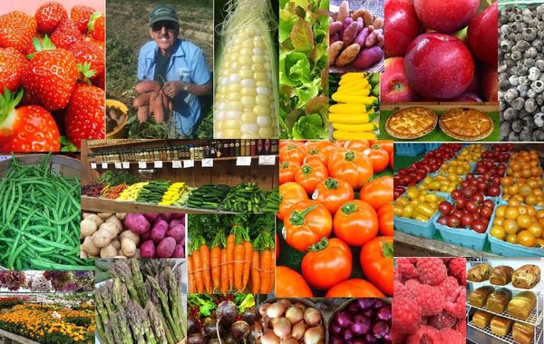 Riverside Farm Stand & Greenhouse