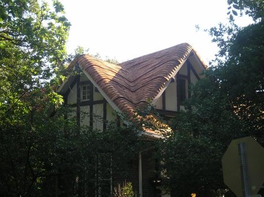 shingle thatch roof /denver