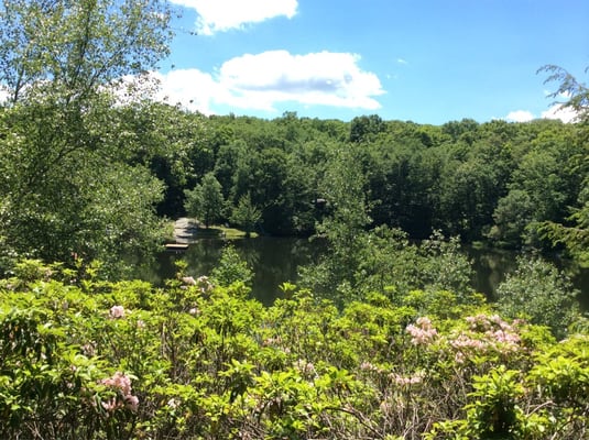 Another view of the wonderful Rock Lodge spring-fed swimming lake from one of the cabins.