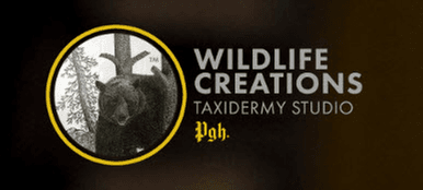 Wildlife Creations Taxidermy Studio